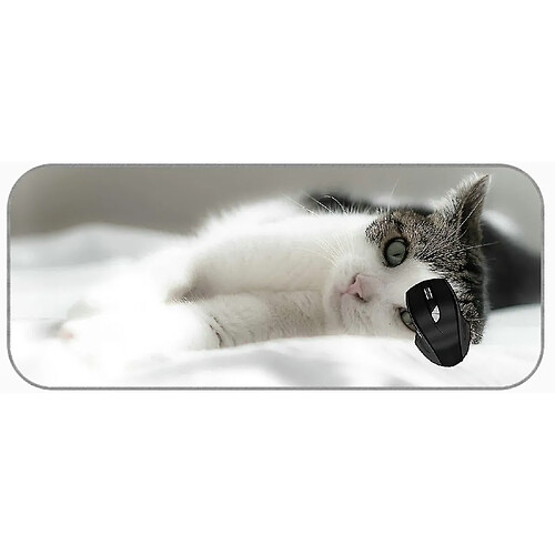 Universal (750x300x3) Tampon de souris de jeu Grand chat xxl surplombant les souris en caoutchouc non glissantes