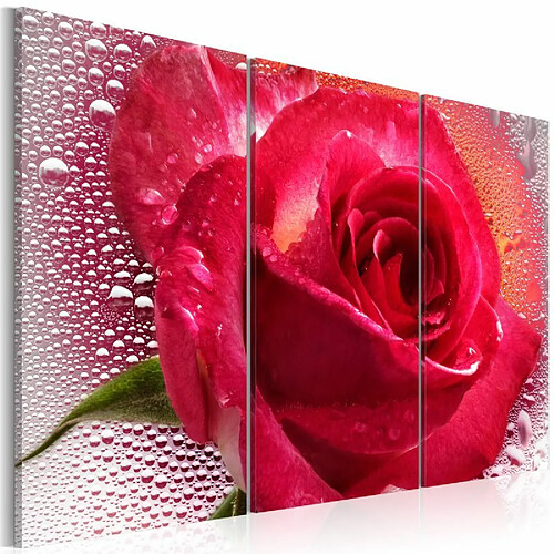 Paris Prix Tableau Imprimé 3 Panneaux Lady Rose 80 x 120 cm