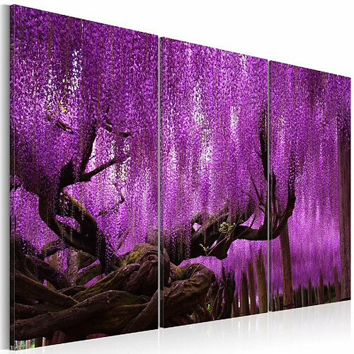 Paris Prix Tableau Imprimé Wisteria 80 x 120 cm