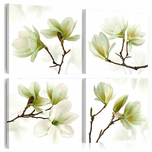 Paris Prix Tableau Imprimé Admiration of Magnolia 80 x 80 cm