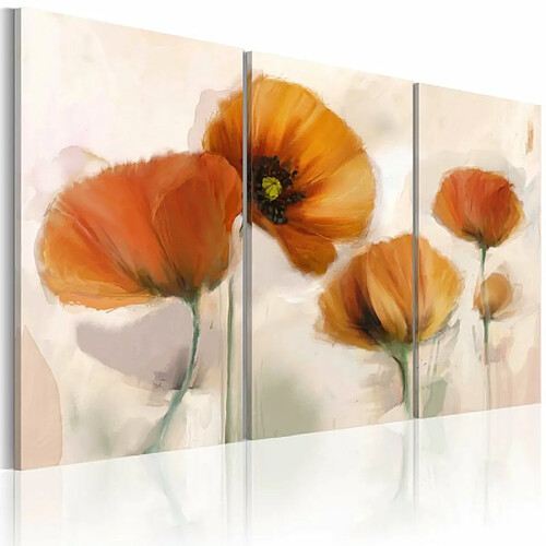 Paris Prix Tableau Imprimé 3 Panneaux Coquelicots Artistiques 60 x 90 cm