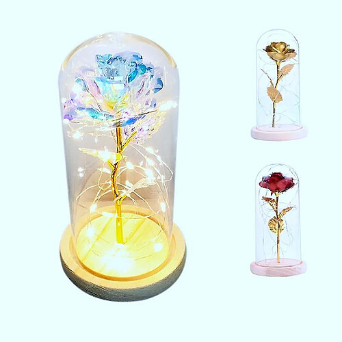 Universal Rose dorée avec lumière LED en dôme de verre pour fête de mariage cadeau de la fête des mères