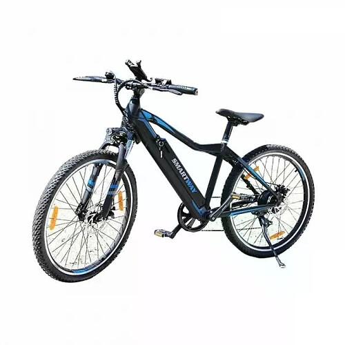 Air Rise Vélo Electrique smartway 250w