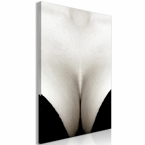 Paris Prix Tableau Imprimé Cleavage 80 x 120 cm