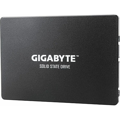 Warner Bros. Games GIGABYTE SSD GP-GSTFS31100TNTD SSD 1TB