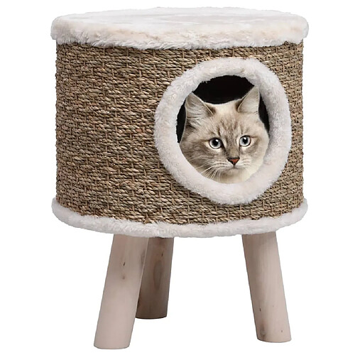 vidaXL Maison pour chat avec pieds en bois 41 cm Herbiers marins