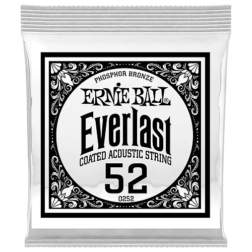 10252 Everlast Coated Phophore Bronze 52 Ernie Ball