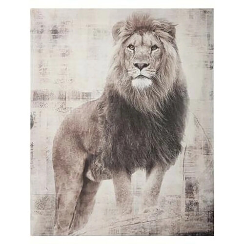 Toile Imprimée Lion 38x48cm Gris