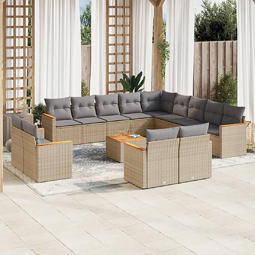 vidaXL Salon de jardin avec coussins 14 pcs beige résine tressée