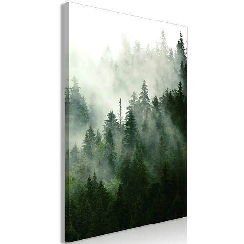 Paris Prix Tableau Imprimé Coniferous Forest 60 x 90 cm