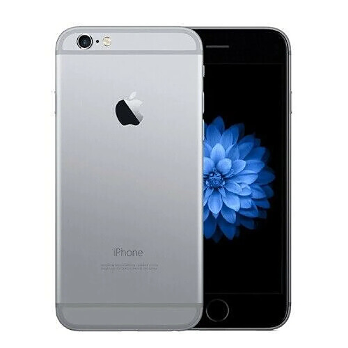 Apple iPhone 6 Plus - 64 Go - Gris · Occasion