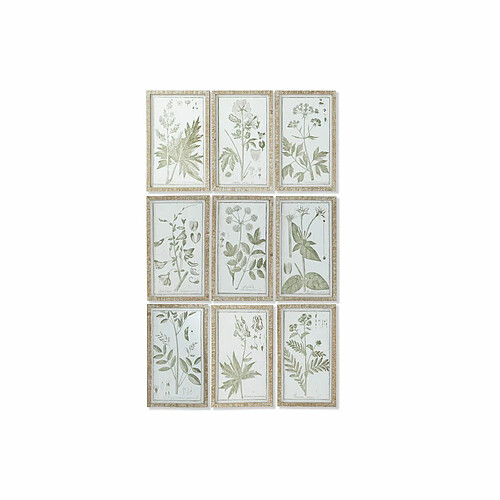 Cadre DKD Home Decor Cottage Plantes botaniques 30 x 2 x 50 cm (9 Unités)