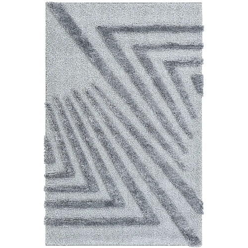 Hadorn Tapis shaggy 245x160 gris Thun Avis