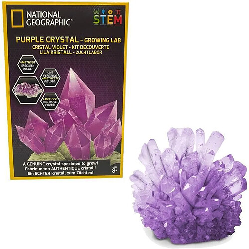 Bandai NG Kit de Cristaux violet