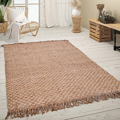 Paco-Home Tapis De Salon Poil Ras Fait Main Sisal Motif Moderne Monochrome Beige