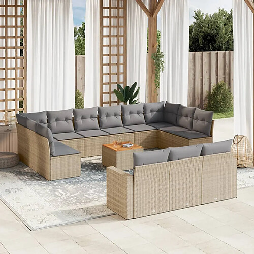 vidaXL Salon de jardin avec coussins 14 pcs beige résine tressée