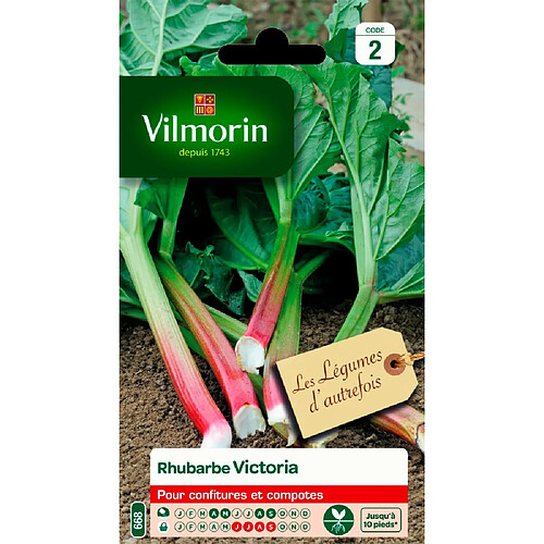 Graines Rhubarbe Victoria VILMORIN