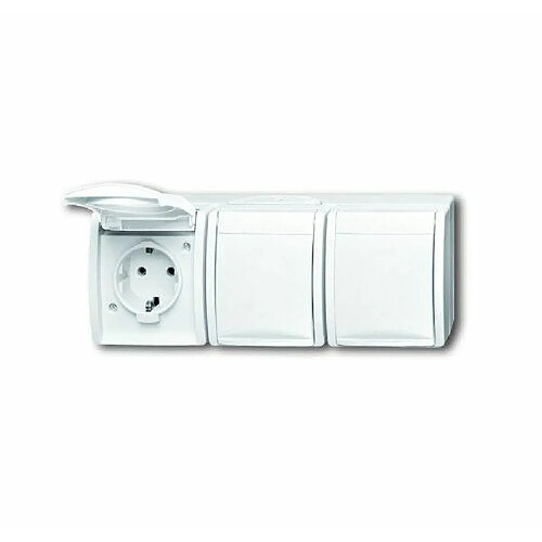 Busch Jaeger 2300/3EW-54 Triple prise Schuko Blanc alpin