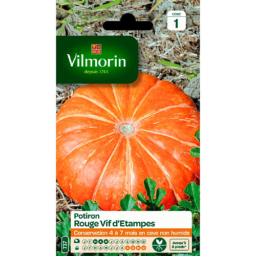 Graines Potiron Rouge Vif D'Etampes VILMORIN