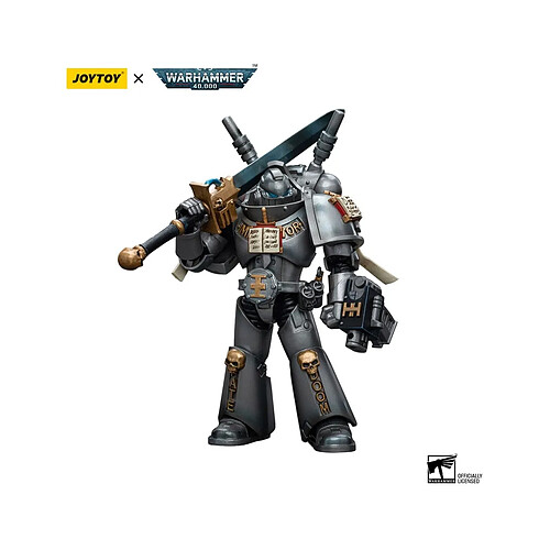 Joy Toy Warhammer 40k - Figurine 1/18 Grey Knights Interceptor Squad Interceptor with Storm Bolter and Nemesis Force Sword 12 cm