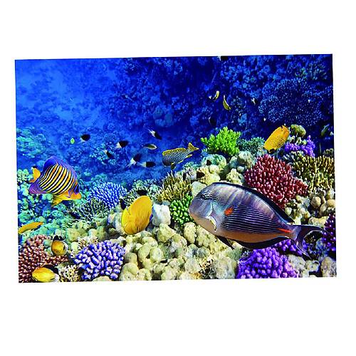 aquarium fond affiche aquarium décor de papier peint décor mer monde 61x41cm