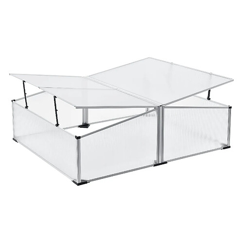 Helloshop26 Serre châssis de jardin mossel double relevable 100 x 120 x 40 cm polycarbonate 03_0008268