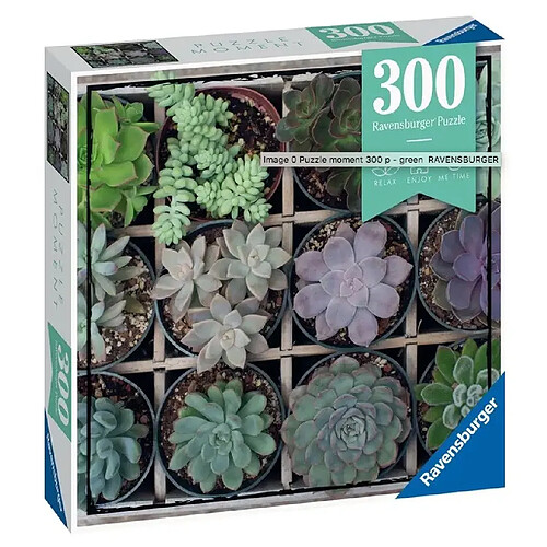 Ravensburger Puzzle Moment Green 300 pieces