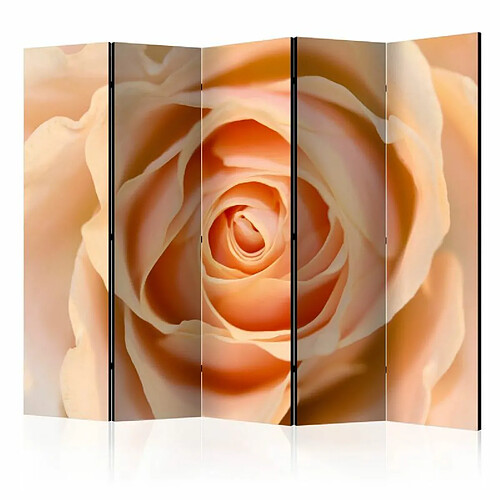 Paris Prix Paravent 5 Volets Peach Colored Rose 172x225cm