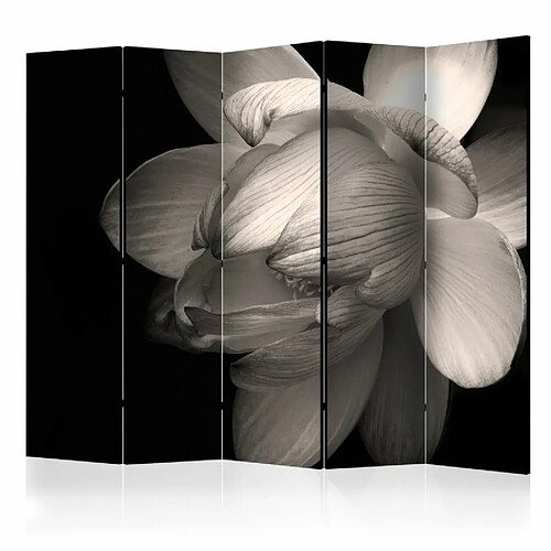 Paris Prix Paravent 5 Volets Lotus Flower 172x225cm