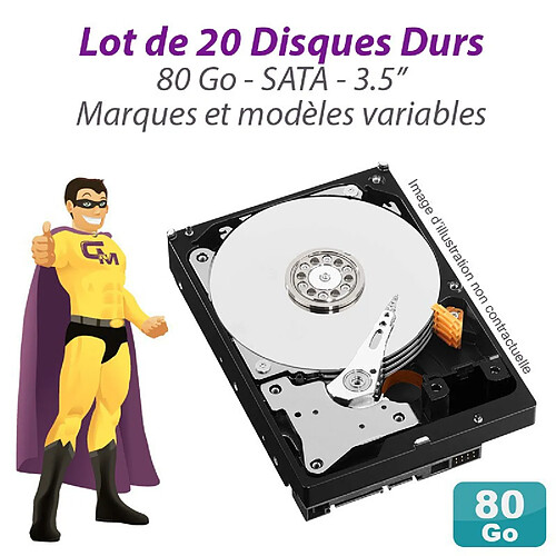 Lot de 20 Disques durs 3.5" 80Go SATA Western Digital Hitachi Samsung Seagate · Occasion