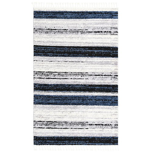 Hadorn Tapis shaggy 305x240 Bleu Frauenfeldnea