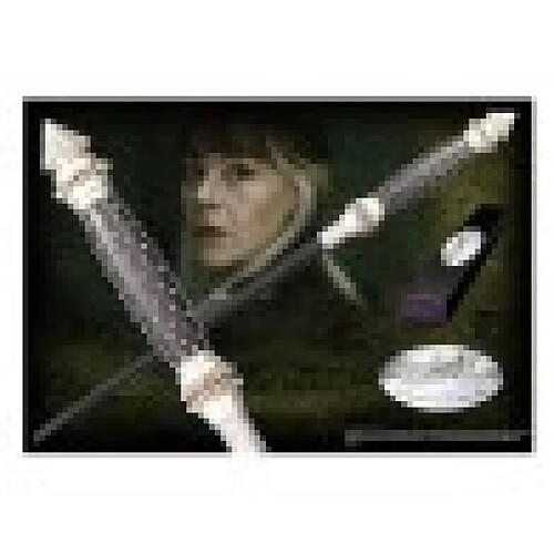 Noble Collection - Réplique Harry Potter - Baguette Magique Narcissa Malfoy (édition personnage) - Matière résine- Vendu sous coffret- Taille 40cm