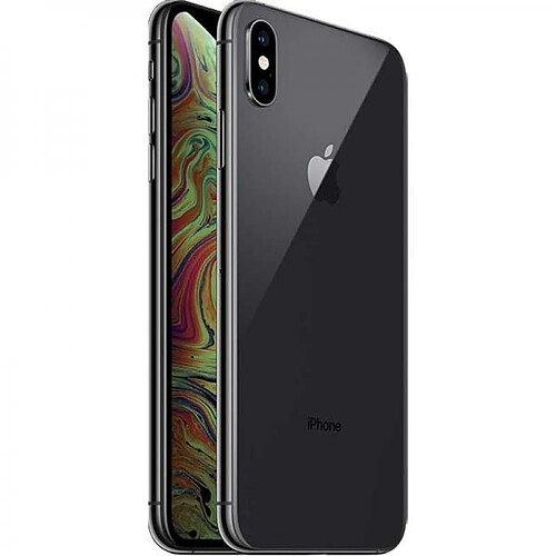 Apple iPhone XS Max 4G 64 Go Gris Sidéral EU · Reconditionné