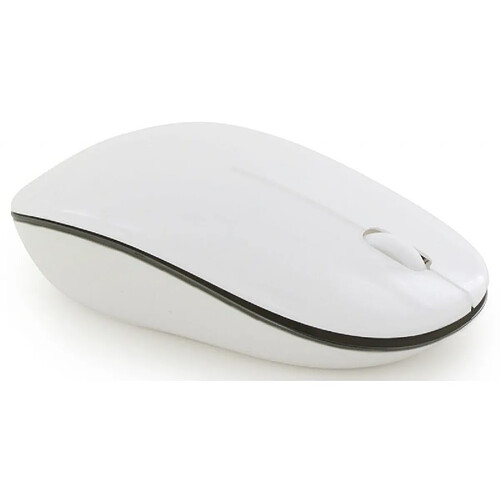 Souris d'ordinateur MOBILITY ML 301877