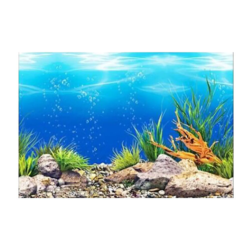 Affiche De Fond D'aquarium De PVC D'océan Paysage De Décoration De Réservoir De Poissons 60x102cm