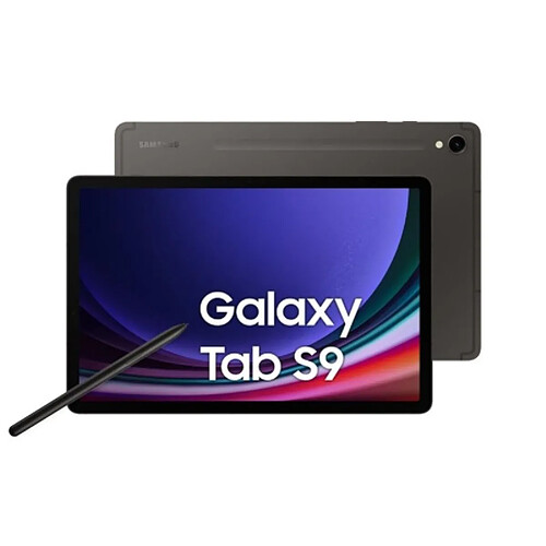 Tablette Samsung Galaxy Tab S9 SM-X716BZAEEUE 11" 12 GB RAM 256 GB Graphite