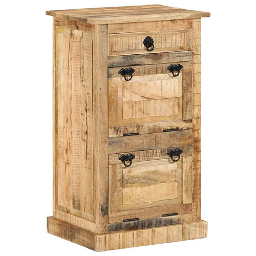 vidaXL Armoire à chaussures 4 niveaux avec tiroir Bois manguier brut