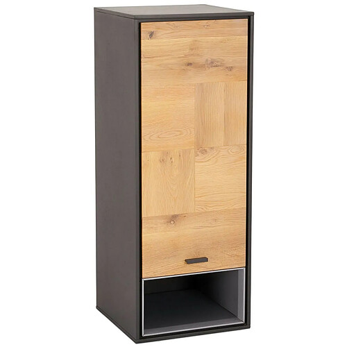 FURNHOUSE Armoire murale 1 porte en chêne massif clair/gris