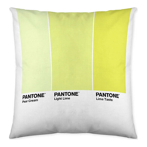 Pantone Housse de coussin Ombre C Réversible (50 x 50 cm)