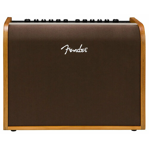 Acoustic 100 Fender