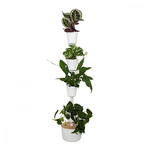 Citysens Jardin d'intérieur avec 4 plantes placides bleues et arrosage auto blanc