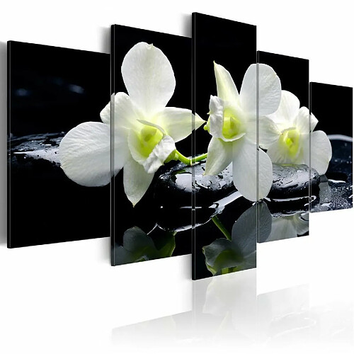 Paris Prix Tableau Imprimé Melancholic Orchids 50 x 100 cm