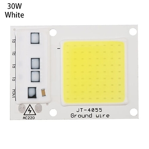 Wewoo Projecteur LED haute puissance 220V / Lampe chauffante puce intelligente IP65 pour COB (30W blanc)