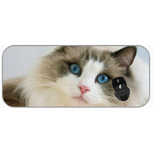 Universal (750x300x3) Tampon de souris de jeu grand xxl Blue Eyes Ragdoll Animal Cat non glissade de souris en caoutchouc non glissant