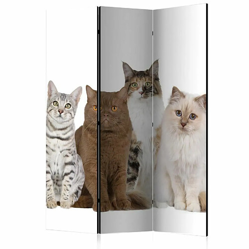 Paris Prix Paravent 3 Volets Sweet Cats 135x172cm