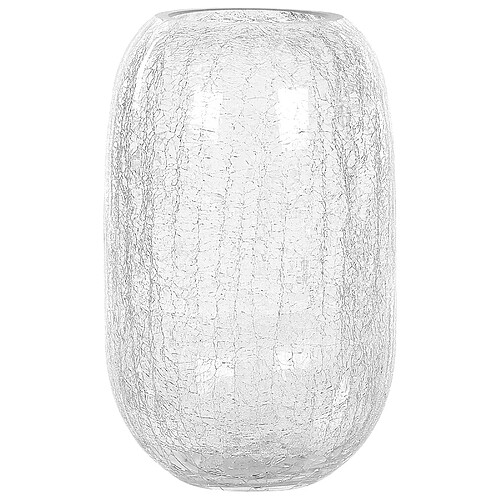 Beliani Vase à fleurs KYRAKALI Verre 28 cm Transparent