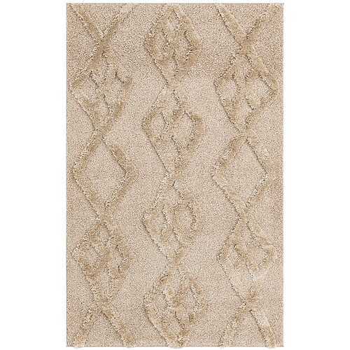 Hadorn Tapis shaggy 305x240 brun Thun Tribus