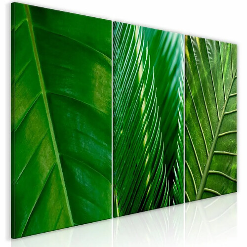 Paris Prix Tableau Imprimé Leaves Collection 30 x 60 cm