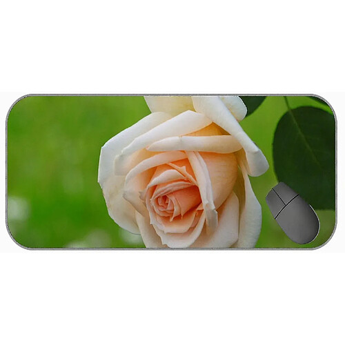 Universal (750x300x3) Tampon de souris de jeu avec bords cousus, Nature colorée Rose Rose sans glissement de souris en caoutchouc