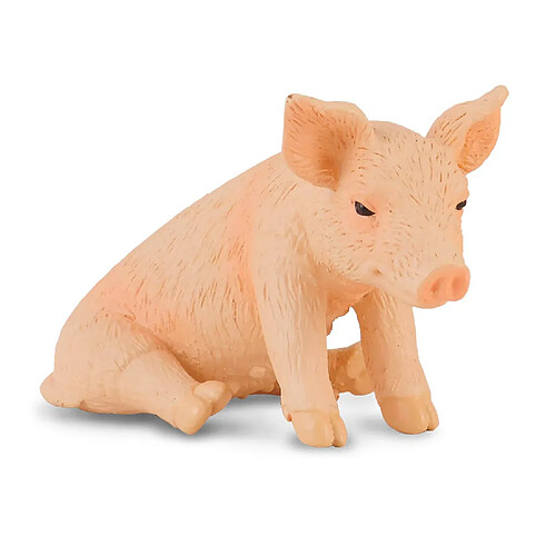 Figurines Collecta Figurine La Ferme (S): Cochon